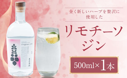 リモチーソジン 500mL