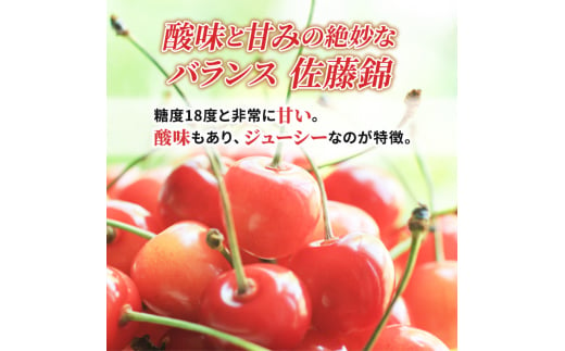 北海道 仁木町産 厳選品 サクランボ 佐藤錦  600g （300g×2） Lサイズ以上  松山商店