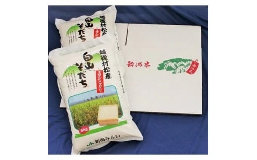 【令和6年産】五泉産コシヒカリ 「白山そだち」精米 10kg (5kg×2袋)　新潟県 五泉市 新潟かがやき農業協同組合