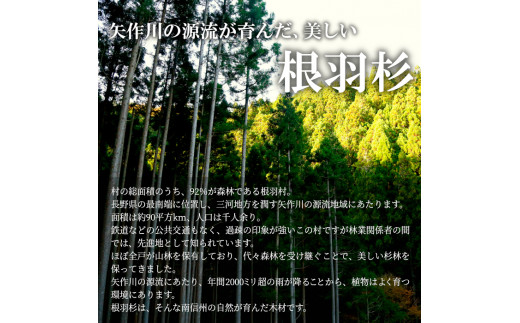 贈り物に大人気！木の「ぞうさんすべり台」　根羽杉