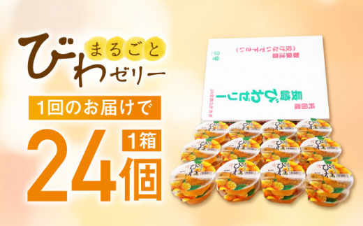 【全3回定期便】まるごとびわゼリー 24個入 長崎県/長崎県農協直販 [42ZZAA226] ゼリー びわ ビワ 枇杷 まるごと 定期便 長崎