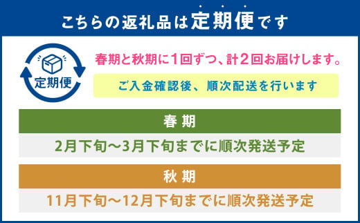 【定期便年2回】原木しいたけ (約600g) しいたけ専門店 陽より子