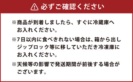 【定期便年2回】原木しいたけ (約600g) しいたけ専門店 陽より子