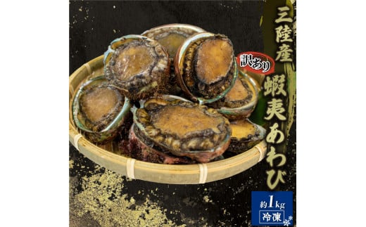 訳あり エゾアワビ 約1kg 冷凍 鮑 蝦夷あわび あわび アワビ 鮑 Abalone ステーキ  バターソテー 正月 お正月 おせち  刺し身 刺身 バーベキュー BBQ ごはん 夕飯 おかず おつまみ 晩酌 米 丼 海産物 海鮮 魚介 魚介類 贈答品 お中元 お歳暮 大船渡 三陸 岩手県 国産