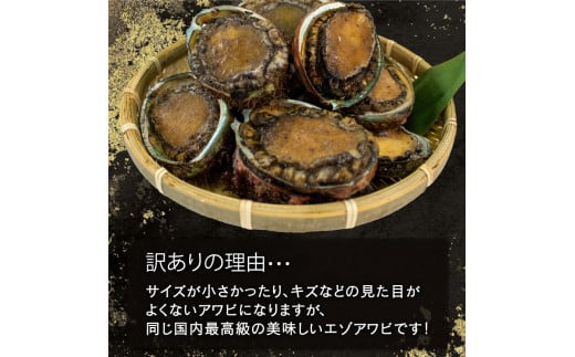 訳あり エゾアワビ 約1kg 冷凍 鮑 蝦夷あわび あわび アワビ 鮑 Abalone ステーキ  バターソテー 正月 お正月 おせち  刺し身 刺身 バーベキュー BBQ ごはん 夕飯 おかず おつまみ 晩酌 米 丼 海産物 海鮮 魚介 魚介類 贈答品 お中元 お歳暮 大船渡 三陸 岩手県 国産