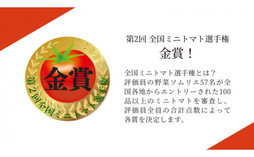 【 2025年収穫分 先行予約 】スーパーフルーツ ミニトマト 約1kg 2025年2月上旬発送開始 ミニトマト フルーツトマト ブランドトマト トマト とまと 野菜 [BC070sa]