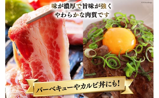 牛肉 焼肉 宮崎牛 カルビ焼肉 500g [レグセントジョイラー 宮崎県 美郷町 31bb0015] 肉 黒毛和牛 カルビ 焼き肉 冷凍 BBQ バーベキュー A4 A5 にく 牛