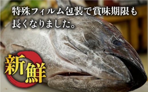 五島列島産 養殖 生本かみマグロ 赤身 300g / マグロ まぐろ 鮪 刺身 ブロック