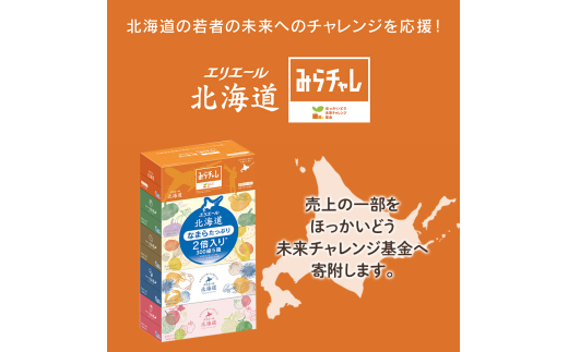 2ヵ月連続お届け 計100箱 エリエール 北海道 ティシュー なまらたっぷり 300組5箱 10パック 大容量 まとめ買い 防災 常備品 備蓄品 消耗品 日用品 生活必需品 送料無料 赤平市