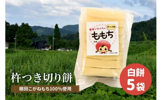 もち 新潟県上越産／棚田こがねもち100％使用 杵つき切り餅セット 餅 おもち もち米 食品 お取り寄せ