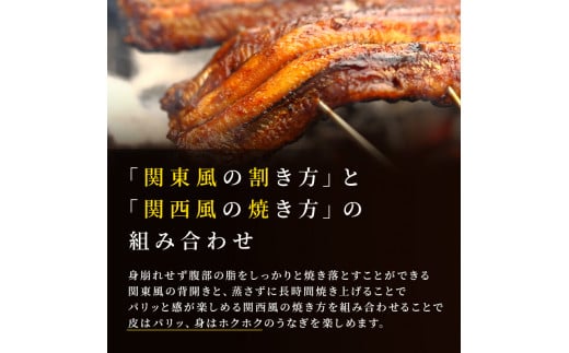 数量限定 国産うなぎ 蒲焼き 2尾 セット 詰め合わせ うなぎ 鰻 ウナギ 国産 うなぎの蒲焼き 鰻の蒲焼 老舗うなぎ専門店 徳右ェ門 魚介 魚介類 海鮮 限定 福井 福井県 若狭町 [№5580-0161]