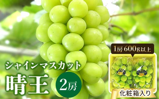 先行予約＜2025年発送＞岡山県産 シャインマスカット『晴王』2房(1房600g以上) 化粧箱入り TY0-0399