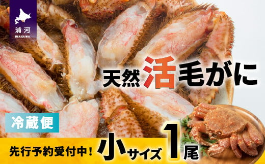 「活」の状態でお届けしますので、茹でて食べるのはもちろん、お刺身や鍋の具材としてもおすすめです！