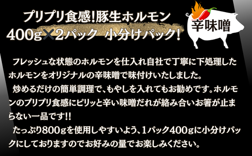 国産 豚 生ホルモン 辛味噌味 800g（400g×2パック） 冷凍 小分け 味付 簡単 調理 豚ホルモン ブタホルモン ホルモン 焼肉 おつまみ バーベキュー BBQ 宮城県 東松島市 オンラインワンストップ 対応 自治体マイページ 佐利 AB