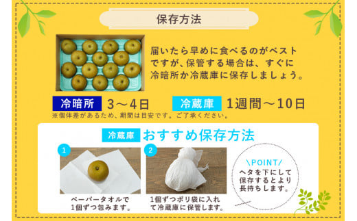 【数量限定 / 夏季限定】梨（豊水） 約5kg なし ナシ 日本梨 ほうすい ホウスイ 17-D 【8月下旬～9月上旬発送予定】