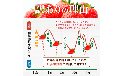 MZ055 福岡県産 あまおう 540g 先行予約 2024年12月より順次発送