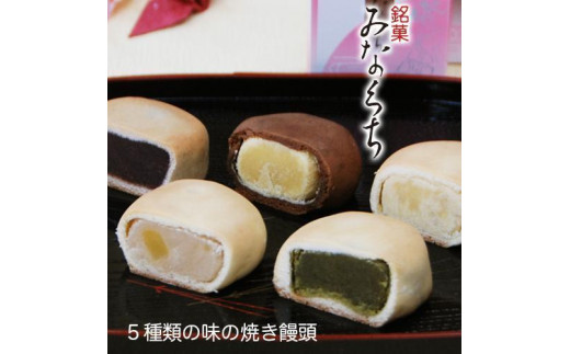 和菓子 詰め合わせ 『彩り』鮎菓子入り 創業140余年の味