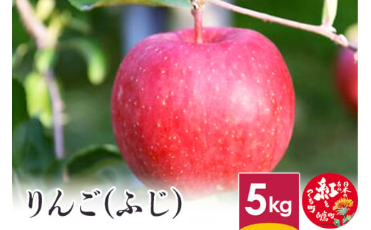 りんご (ふじ)  5kg 山形県産 フルーツ 果物 リンゴ 林檎 【2024年12月上旬～12月下旬に順次発送予定】