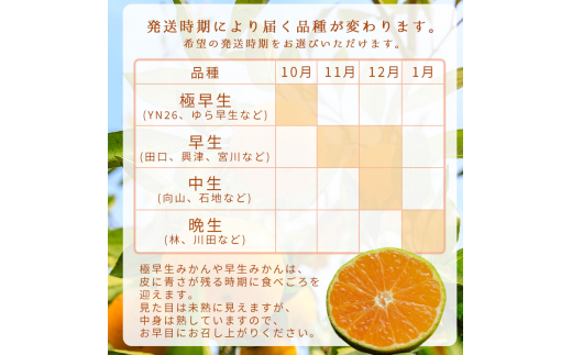 【11月発送】秀品 有田みかん 和歌山県産  S～Lサイズ 大きさお任せ 10kg / みかん フルーツ 果物 くだもの 有田みかん 蜜柑 柑橘【ktn003-11】