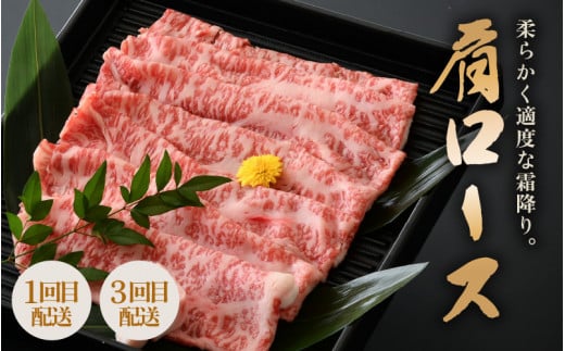 定期便 ≪3ヶ月連続お届け≫ 肉の定期便 和牛 食べ比べ計1.6kg以上【牛肉 黒毛和牛 黒毛和種 黒毛 和牛 国産 国産牛 肩ロース すき焼き しゃぶしゃぶ ヒレ 毎月届く お楽しみ 父の日 母の日 敬老の日 お中元 お歳暮 ギフト 誕生日 贈り物 プレゼント BBQ キャンプ飯 お取り寄せ】 [m15-k001]