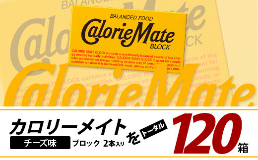 【6回定期便】≪チーズ味≫ カロリーメイトブロック 2本入り 計20箱 ×6回 合計120箱【徳島 那賀 大塚製薬 カロリーメイト チーズ ビタミン ミネラル たんぱく質 脂質 糖質 5大栄養素 バランス栄養食 栄養補給 仕事 勉強 スポーツ 防災 災害 地震 非常食 常備食 備蓄 受験 受験応援 新生活】MS-5-6-cheese