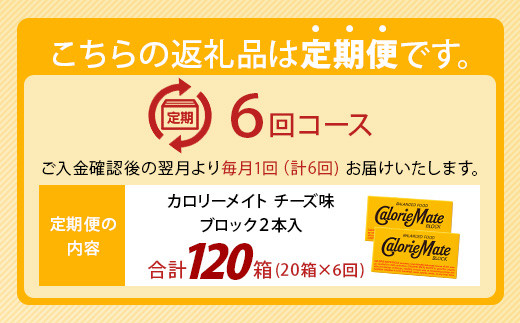 【6回定期便】≪チーズ味≫ カロリーメイトブロック 2本入り 計20箱 ×6回 合計120箱【徳島 那賀 大塚製薬 カロリーメイト チーズ ビタミン ミネラル たんぱく質 脂質 糖質 5大栄養素 バランス栄養食 栄養補給 仕事 勉強 スポーツ 防災 災害 地震 非常食 常備食 備蓄 受験 受験応援 新生活】MS-5-6-cheese