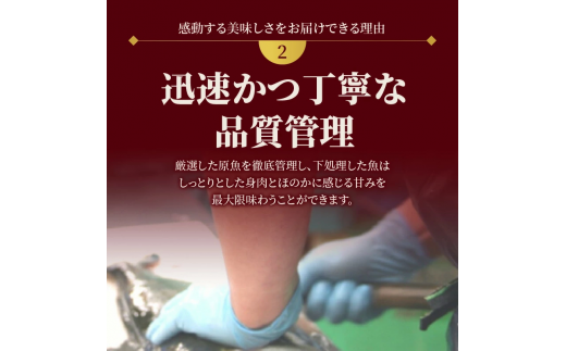 【冷蔵】延岡産活〆鮮魚職人技の脱血鮮魚カンパチ１尾（内臓エラ取り） N019-YZD0118