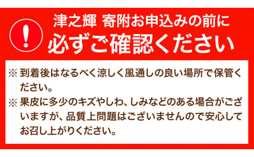 【先行予約】津之輝(つのかがやき)　約5kg 株式会社魚鶴商店《2025年2月上旬-2月末頃出荷予定》 和歌山県 日高町 柑橘 フルーツ