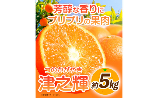 【先行予約】津之輝(つのかがやき)　約5kg 株式会社魚鶴商店《2025年2月上旬-2月末頃出荷予定》 和歌山県 日高町 柑橘 フルーツ