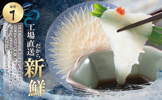 W01-01 とらふぐ刺し（3人前）※2026年2月発送分 薬味 ポン酢付き 国産 とらふぐ ふぐ ふぐ刺し てっさ 刺身 冷蔵 人気 おすすめ トラフグ 高品質