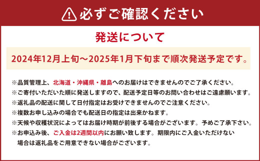 今季初採れあまおう2パック 約500-540g