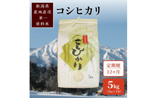 定期便 12回 【毎月定期便】標高200mで育てた棚田米 新潟県上越市中郷産・従来種 コシヒカリ 精米 5kg