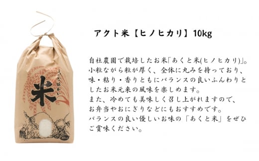 定期便 お米 【令和6年産 予約受付】 アクト米 ヒノヒカリ 白米 10kg 6ヶ月連続お届け