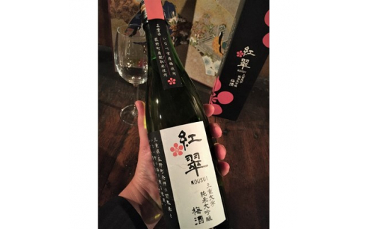 三重大学純米大吟醸梅酒「紅翠」720ml　3本セット【1201334】