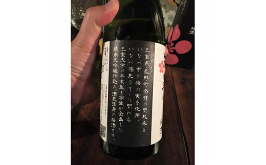 三重大学純米大吟醸梅酒「紅翠」720ml　3本セット【1201334】