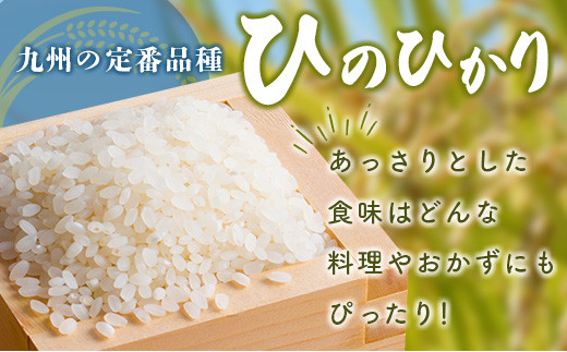 宮崎県産 ひのひかり パックご飯 計5.4kg 36パック (1パック 150g)