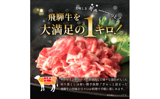 【7営業日以内発送】 飛騨牛切り落とし1Kg（250ｇ×4）【 早期発送  牛肉 カレー シチュー 牛丼 肉じゃが 牛しぐれ煮 炒め物 食品 肉 国産 和牛 ブランド牛 ブランド 小分け パック セット 国産牛 お肉 ロース もも 赤身 バラ ミックス 料理 岐阜県 】