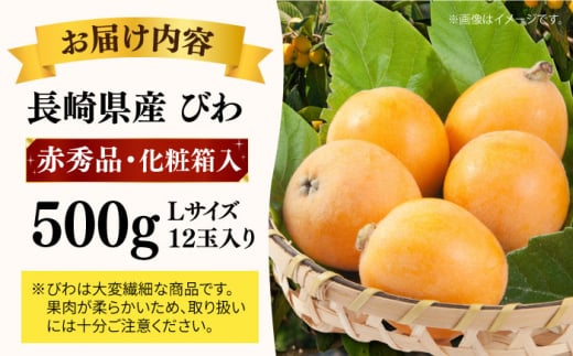 【先行予約】＜4月～発送＞赤秀品 ハウスびわ 500g（化粧箱入り・Lサイズ12玉） 長崎県/長崎果匠 [42AABK009] びわ ビワ 枇杷 フルーツ ギフト