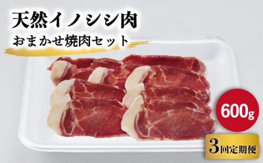 【3回定期便】ジビエ 天然イノシシ肉 おまかせ焼肉セット 600g （ロース・モモ・バラ）【照本食肉加工所】 [OAJ028] / 猪 猪肉 いのしし肉 イノシシ イノシシ肉 ジビエ いのしし 長崎県猪 川棚町産猪 ぼたん鍋用いのしし 九州産イノシシ じびえ ジビエ ジビエ肉