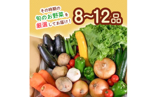 阿波の国海陽町 旬のお野菜詰め合わせセット 8～12品 野菜 徳島県 海陽町産 野菜セット 詰め合わせ 4-5名様以上 向け 季節の野菜 やさい 産地直送 新鮮 採れたて お試し 単品