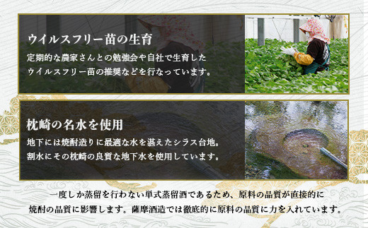 ＜さくら白波＞1800ml×2パックセット＜薩摩焼酎＞枕崎の定番焼酎 黄麹 芋焼酎 A6-100【1167975】