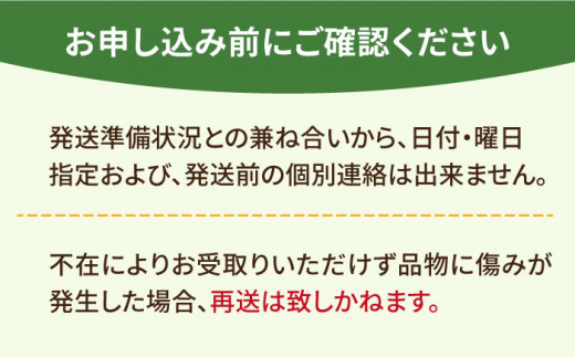 【12月～4月発送】いちごさん 計1kg以上（約250g×4P） 吉野ヶ里町/TZファーム [FDF001]