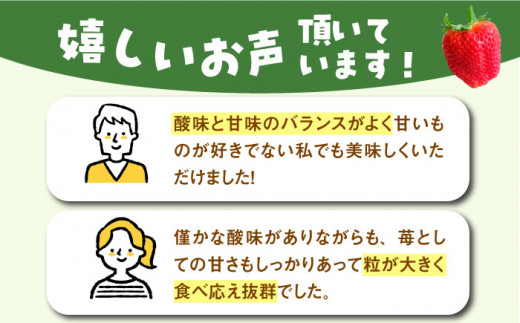 【12月～4月発送】いちごさん 計1kg以上（約250g×4P） 吉野ヶ里町/TZファーム [FDF001]