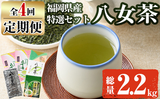 【ksg1372】＜定期便・全4回(連続)＞福岡銘茶八女茶 特選セット(総量2.2kg)【マル五】