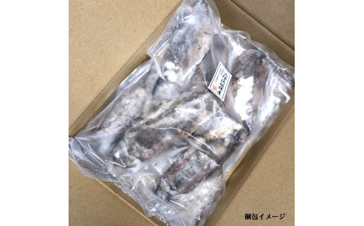 【数量限定】わけありアオリイカ　1ｋｇ　とれたままを冷凍　下処理未　生食可