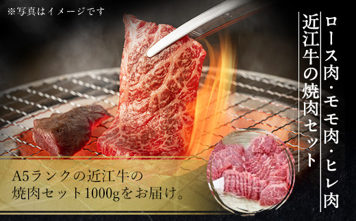 近江牛 焼肉 セット 1000ｇ　牛肉 和牛 黒毛和牛 国産　AI30