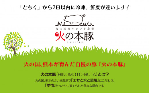 【定期便6回】火の本豚 ミンチ 1000g（500g×2） | 熊本県 和水町 くまもと なごみまち 豚肉 肉 ミンチ ブランド肉 地域ブランド 火の本豚 1kg 500g 2パック 定期 6回 毎月発送