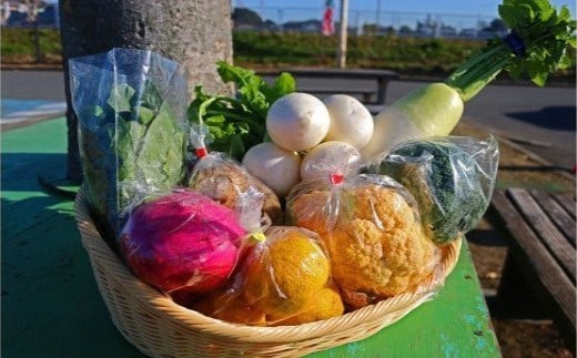 厳選・「おおばん市場」旬の野菜詰め合わせ　毎月1回3か月間お届け定期便　【11246-0171】