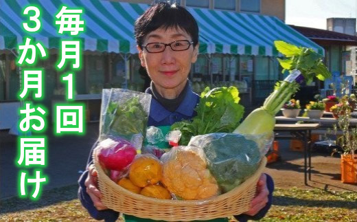 厳選・「おおばん市場」旬の野菜詰め合わせ　毎月1回3か月間お届け定期便　【11246-0171】