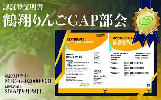 [№5554-0156]10月発送 家庭用 葉取らず 早生ふじ 約5kg【訳あり】【鶴翔りんごGAP部会 青森県産 津軽産 リンゴ 林檎】